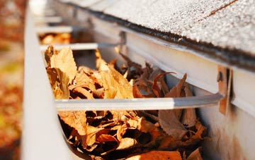 Woodham gutter cleaning companies